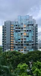 vida photo thumbnail #11